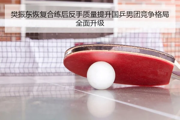 樊振东恢复合练后反手质量提升国乒男团竞争格局全面升级